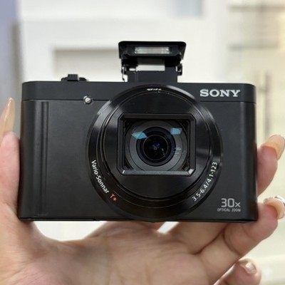 SONY Cyber-Shot DSC-WX500 18.2MP Digital Camera Black English