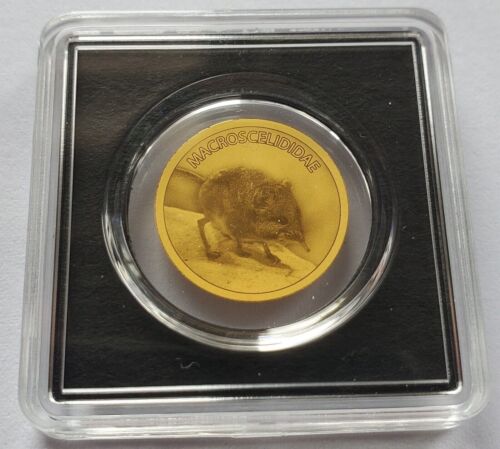 2022 Chad Gold Coin Elephant shrew Africa Fauna Small Mammal Sengis WWF Wildlife - Picture 1 of 2