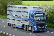 Truck Photo 12x8 - Volvo FH500 - Emyr Jones Livestock - E11 EWE