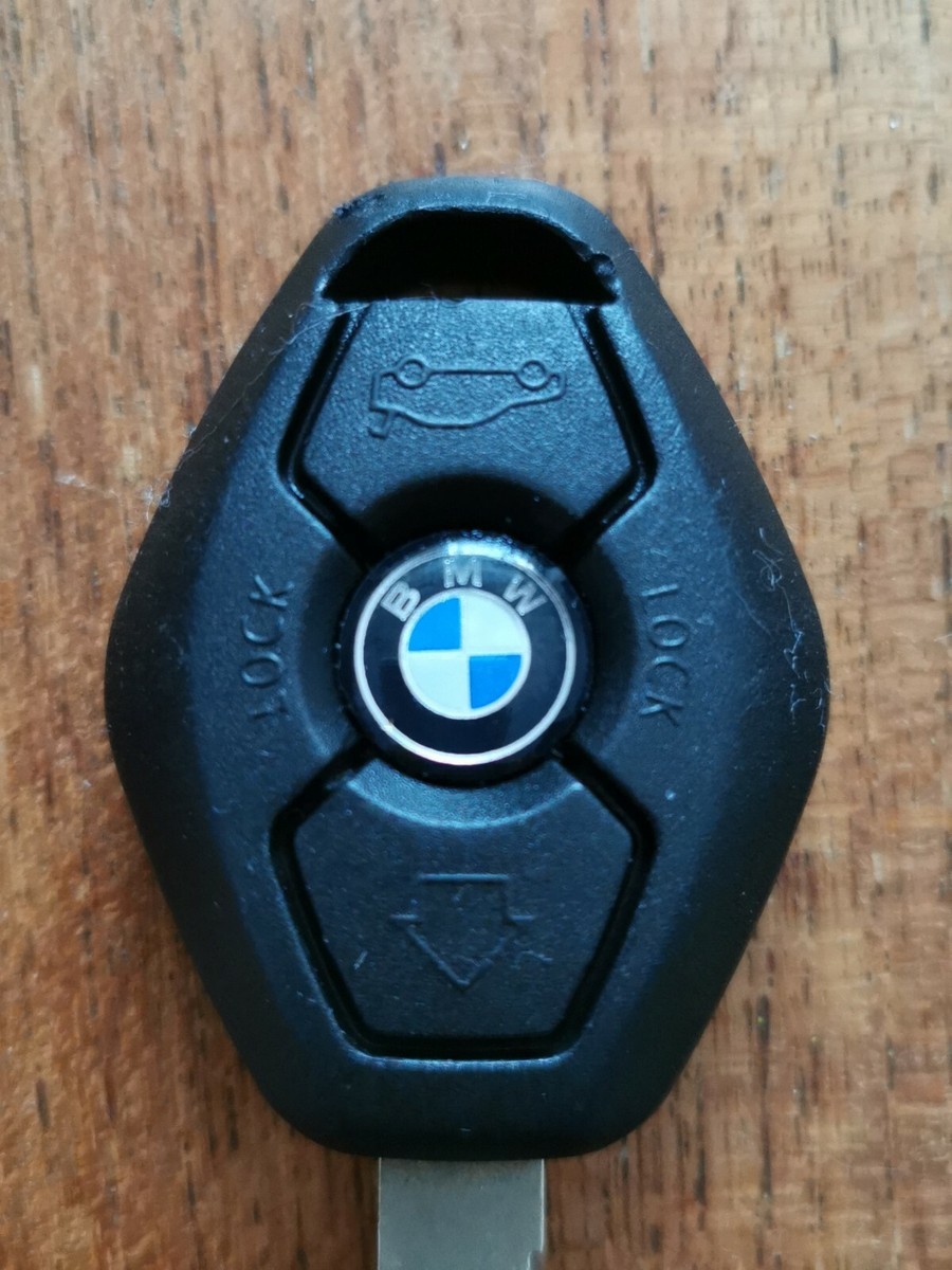 Hevo x Tomorrowland 別注 BRINDISI size48