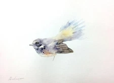 Manus Fantail,  Birds, Watercolor artwork, Handmade, Original painting on paper