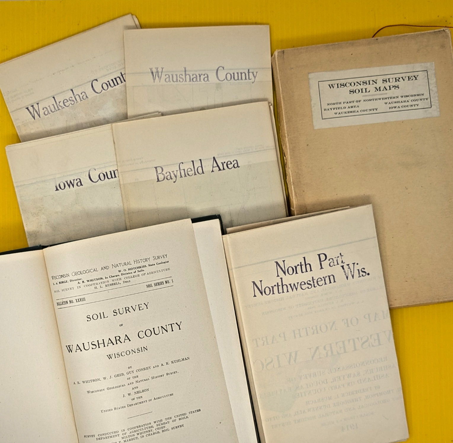 Surveyor Market Item for Sale