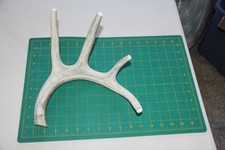 XXLarge Jumbo Branched Deer Antler Dog Chew 80 / bone chews elk deer 1102