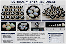 Natural White Opal Parcel 54 Oval Round Cut T...