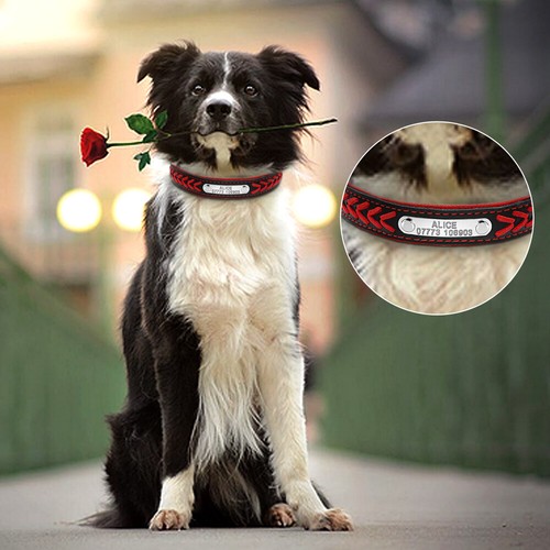 Custom Small Medium Large Dog Collar Personalised Engraved XS S M L XL 5Colors - Picture 10 of 21