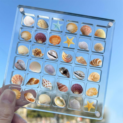 36 Grids Magnetische Muschel-Vitrine aus Acryl,Acrylic Magnetic Seashell Display