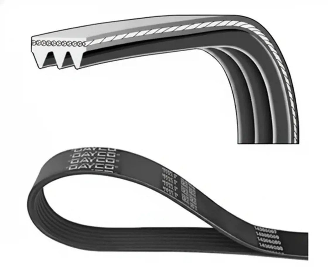 Dayco Cinghia Trapezoidale Pv 3Pk630 - Immagine 2
