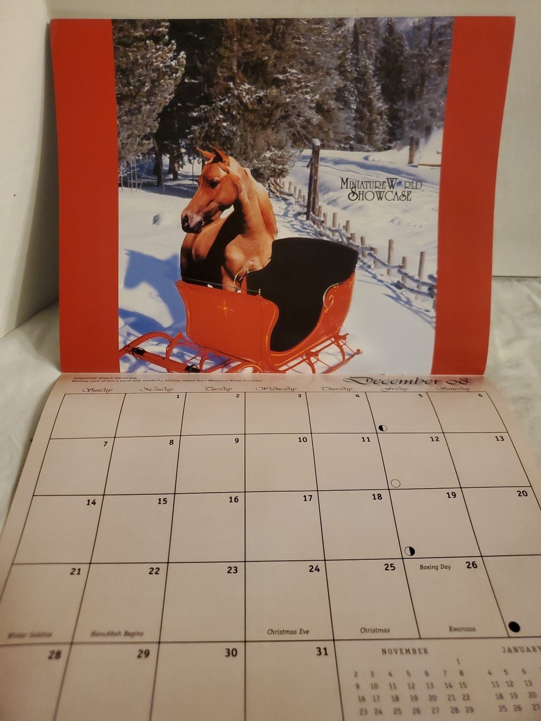 Picture 11 of 12