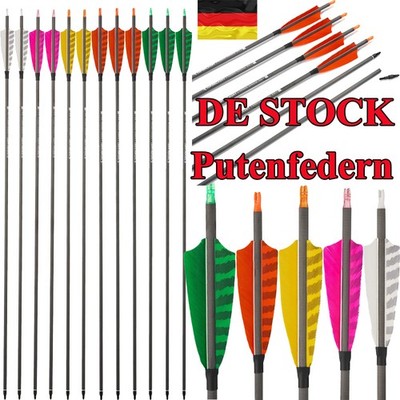 SP400 Archery Carbon Pfeile Türkei Federn 12PCS für Bogenschießen Jagd Ziel