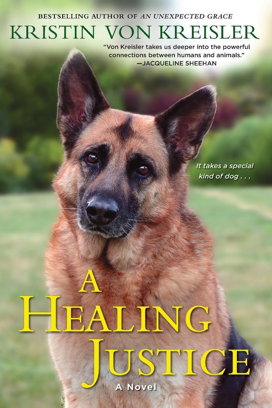 Thumbnail - A Healing Justice Kristin Von Kreisler Taschenbuch Paperback Englisch