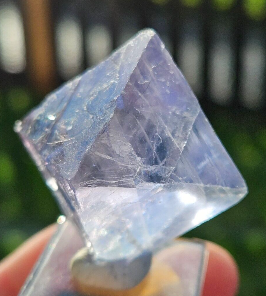 Fluorite Octahedron Crystal Specimen from Illinois USA 175 Carats Natural Mineral