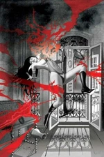Vampirella #15 Ergun Gunduz 1:30 Bonus FOC Variant Cover Dynamite Entertainment