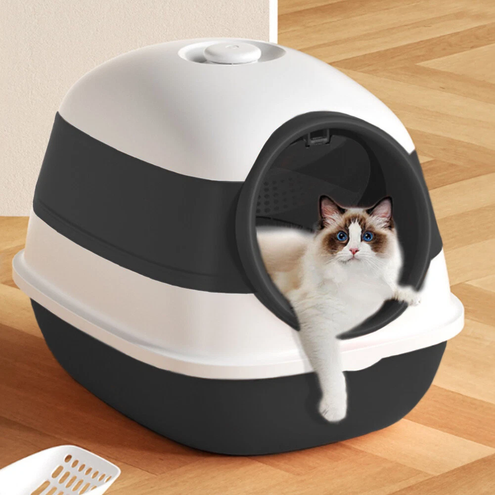 Litter top box cover