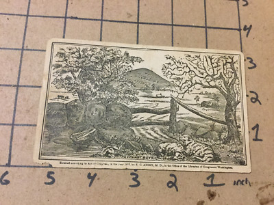 Original Vintage PUZZLE Card: 1877 E C ABBEY MD -- THE TRUANT BOYS -- 