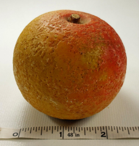 Frutta marmo pietra alabastro italiana primi ARANCIO cesellata e dipinta a mano - Foto 11 di 11