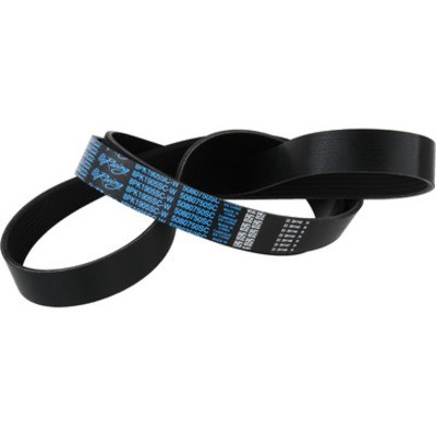 Dayco Llc 5080750SC, One Black Rubber Super charger Belt Cobra Mustang Fits 03-0