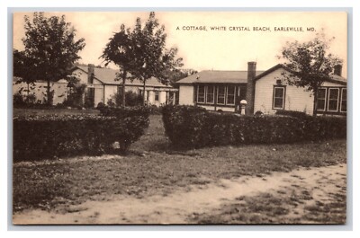 Cottages At White Crystal Beach Earleville Maryland MD UNP Mayrose Postcard D22