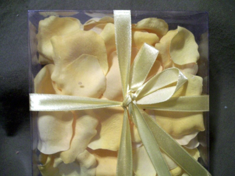 Allstate Yellow Rose Petals in Clear Plastic Case w/ Yellow Bow Wedding Birthday