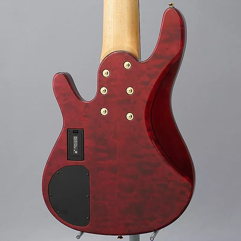 YAMAHA TRB-JP2 (TDR) John Patitucci Signature Model with Hard Case