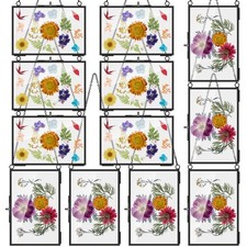 12 Pcs Brass Glass Pressed Flowers Frame - 4 x 6 Inch DIY Hanging Art Clear G...