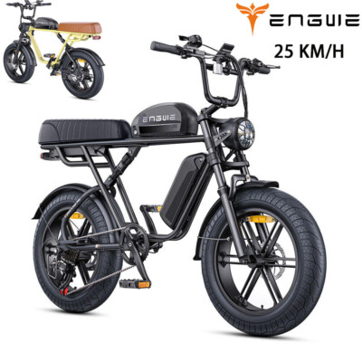 ENGWE M1 250W 48V Elektrofahrrad 20'' FatBike E-Bike E-Mountainbike Herren Sport