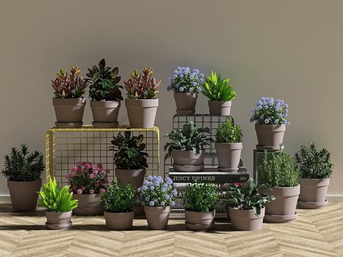 Versatile 72 Mini Terracotta Planters - Ideal for Home Decor & Wedding Favors - Picture 7 of 7