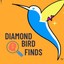 diamondbirdfinds