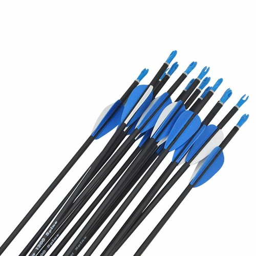 6/12x Carbonpfeile 31 Zoll Carbon Pfeilschaft Jagd Pfeile Zielpfeile SP700 - Picture 9 of 11