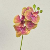 Artplants Phalaenopsis Orchideenzweig KüNstlich Ophelia, Pink-GrüN, 40Cm