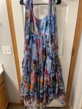 Francesca’s Rosie French Floral Blue Chiffon Poofy Dress