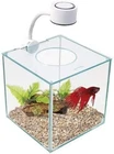 Compact CUBUS 0.9 Gallon Glass Aquarium - Includes LED Light and Acrylic Cover