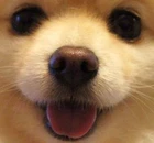 chrifawke