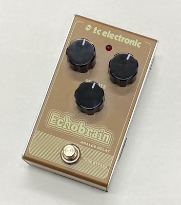 Tc Electronic Echobrain