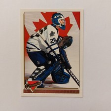 1993-94 Topps Premier Felix Potvin NHL Toronto Maple Leafs #385