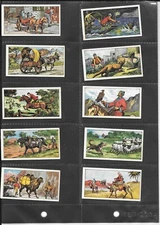 GRANOSE FOODS - ANIMALS IN THE SERVICE OF MAN - 1965 - NO.5 - RARE CARD