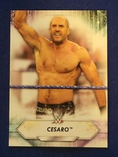 2021 Topps WWE Base Superstar Roster Card #143 Cesaro