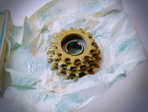REGINA ORO GOLD 6s SESTUPLA RUOTA LIBERA 13/18 FREEWHEEL NEW IN BOX CRONO TT - Imagen 9 de 11