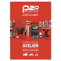 TöPfe Scoot Bidalot CT1 FüR Piaggio 50 Zip 2T, Typhoon, Nrg-Gilera 50 Stalker,