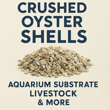 Crushed Oyster Shells Poultry feed, Hermit Crab Treat, Aquarium Substrate 1LB