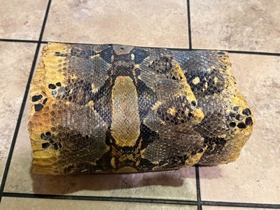 Honey Burmese Python Genuine real Snake Skin Leather hide snakeskin Rattle boa
