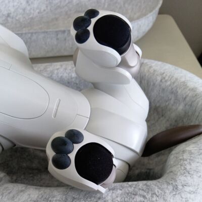 Sony AIBO ERS-1000 Entertainment Robot Dog Ivory White working