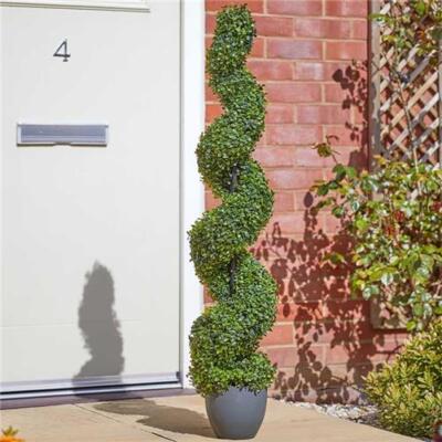 Smart Garden 120 cm Topiary Twirl