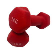 ❌Hanteln Vinyl 2 x 1 kg  Vinylhantel Fitnesshantel Kurzhantel Training❌