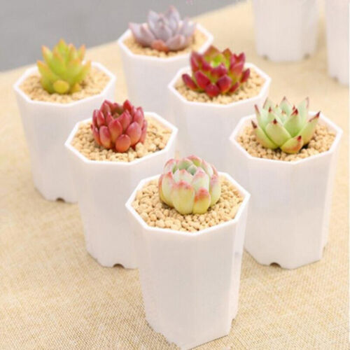 5Pcs Succulent Plant Pot Imitation Ceramic Octagonal Small Resin Flower Po-*- - Picture 3 of 6