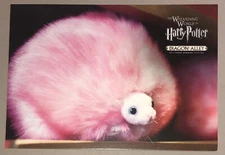 Oversized Postcard Pink Pygmy Puff Miniature Puffskein 7" x 5" Harry Potter