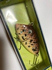 Wild Cat RIO Fishing Gear - New, Weather-Resistant Lure for Fishing
