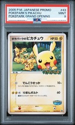 PokePark's Pikachu 043/PCG-P