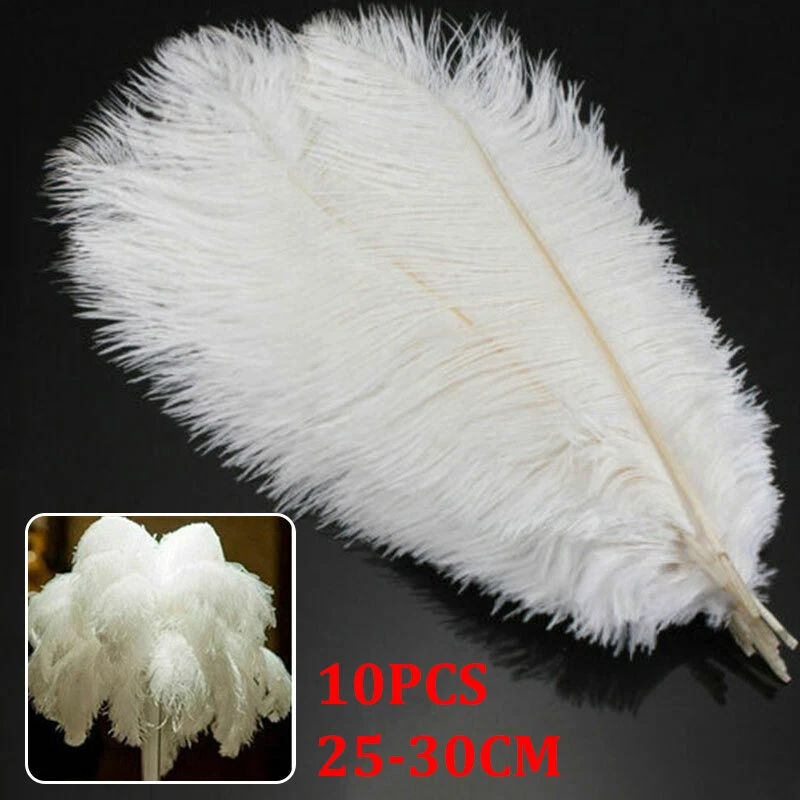 Ostrich 2024 craft feathers