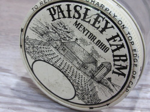 Tarro de vidrio encurtido de tomate verde Paisley Farms vintage #AB - Imagen 7 de 11