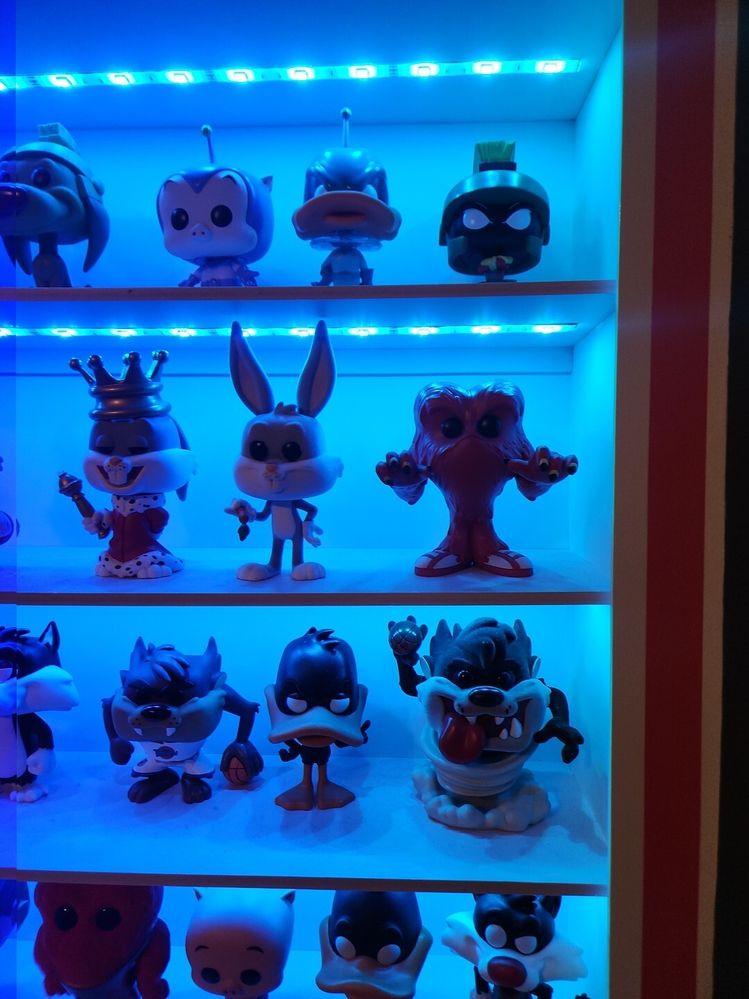 looney tunes funkonpop/shelf/display 